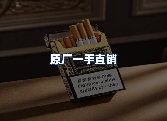 专业团队办公环境